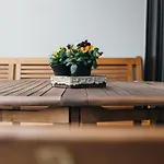 Rosenalm Apartment