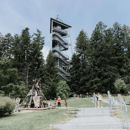 Appartement Rosenalm Scheidegg